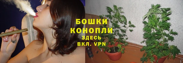 бошки Володарск