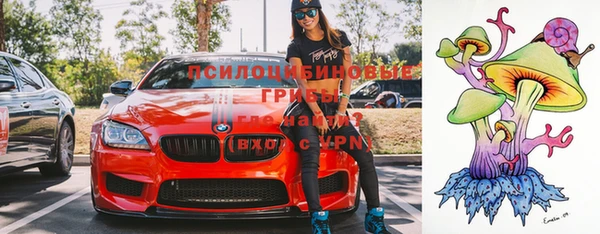 бошки Володарск