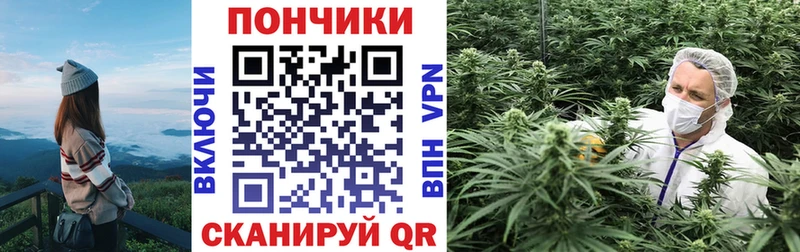 МАРИХУАНА ГИДРОПОН  Володарск 